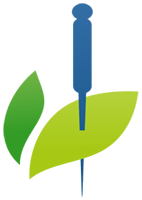 Holistic Acupuncture NYC, New York