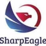 SharpEagle Technology, Dubai, logo