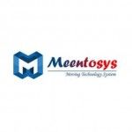 Meentosys Pvt Ltd, New Delhi, logo