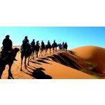 Fes Luxury Tours, fes, logo