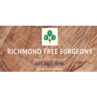 Richmond Tree Surgeons, Richmond upon Thames Richmond Tree Surgeons, Richmond upon Thames