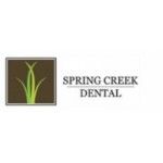 Spring Creek Dental, Hudson, logo
