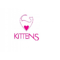 Kittens Club, South Melbourne Kittens Club, South Melbourne