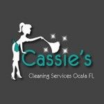 Cassie's Meticulous Touch Cleaning Service, Ocala,FL, logo