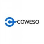 Coweso - Make IT Happen, Hammondville, logo