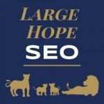 Large Hope SEO, Nambour, logo