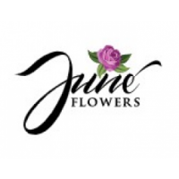 June Flowers, bangalore