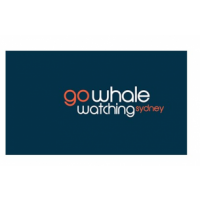 Go Whale Watching, Merimbula Go Whale Watching, Merimbula