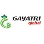 Gayatri Global, Indore, प्रतीक चिन्ह