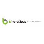 Binary Clues, Noida, प्रतीक चिन्ह