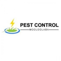 Pest Control Mooloolaba, Mooloolaba
