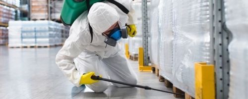 Pest Control Kelvin Grove Kelvin Grove