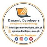 Dynamic Developers - innovators of technology, Rahim Yar Khan, logo