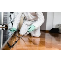 Pest Control Broadbeach Waters, Broadbeach Waters