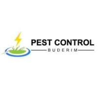 Pest Control Buderim, Buderim, Pest Control Buderim, Buderim,