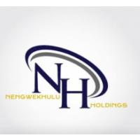 Nengwekhulu Holdings  (Pty) Ltd, Johannesburg
