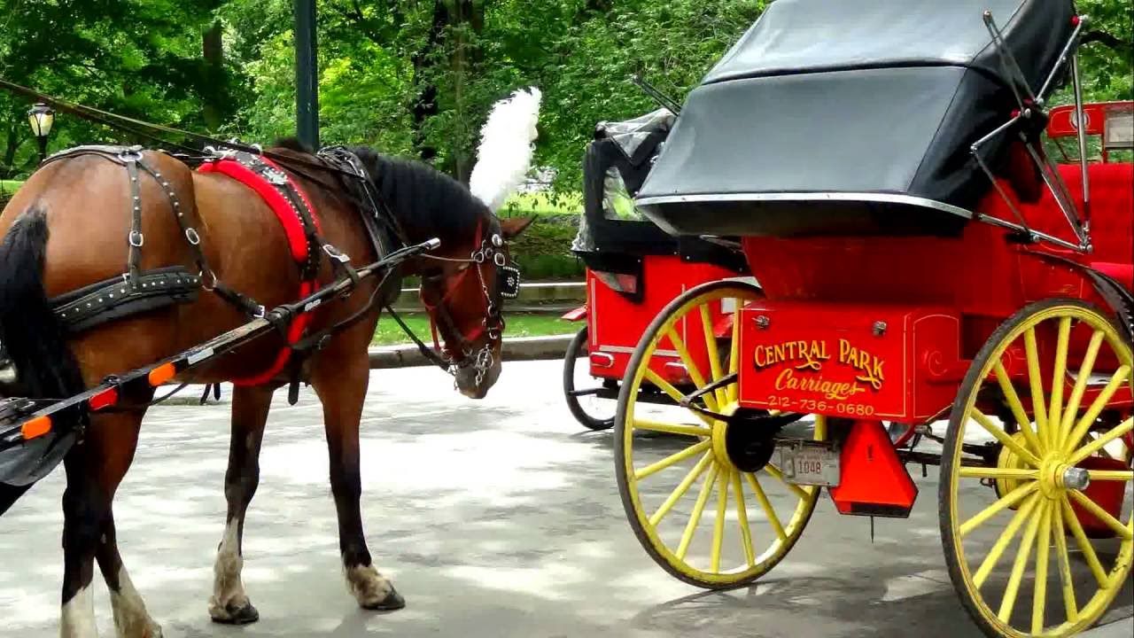 Central Park Carriages, New York
