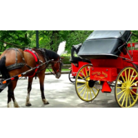 Central Park Carriages, New York