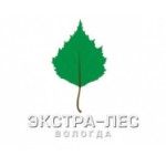 EXTRA-LES LLC, Vologda, logo