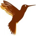 Freedom Software Solutions Pvt. Ltd., Chennai, प्रतीक चिन्ह