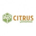 Citrus Sandblast, Orlando, logo