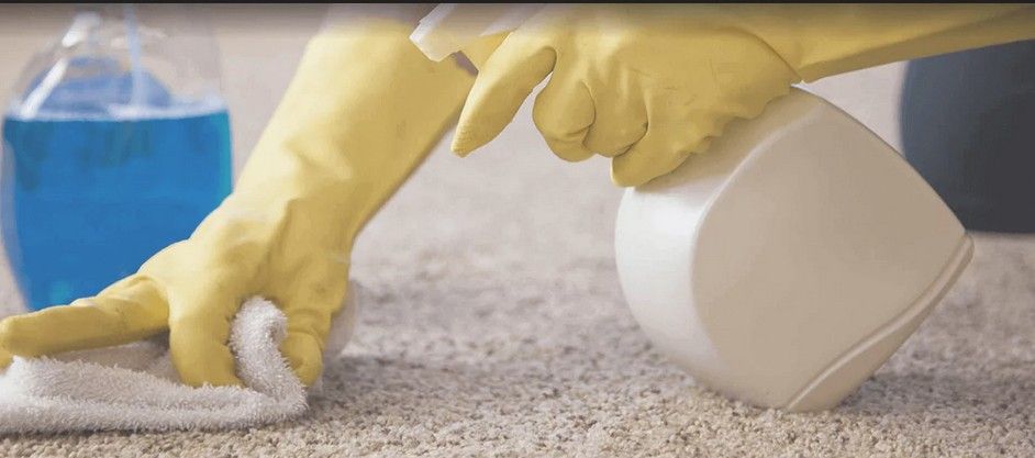 Flash Cleaning Papatoetoe