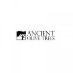 Ancient Olive Trees, Belvedere Tiburon, logo