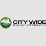 City Wide BC, Surrey, logo