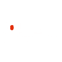 Pulse Telesystems Private Limited, chennai