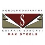 Max Steel, Mumbai, logo