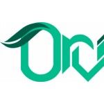 OrviSoft Inc., Chesapeake, logo