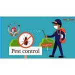 Pest R Gone - Pest Control Toronto, Toronto, logo