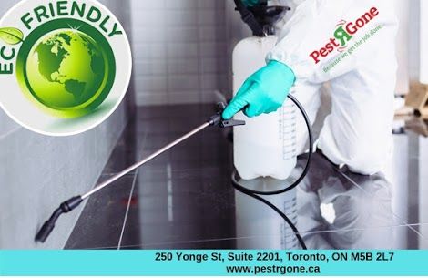Pest R Gone - Pest Control Toronto Toronto 