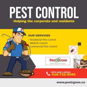 Pest R Gone - Pest Control Toronto Toronto 