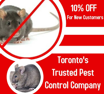 Pest R Gone - Pest Control Toronto Toronto 