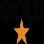 Gold Star Systems Inc., Plano, logo