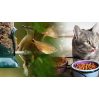 Fluval Canister Aquarium Filter & Maple Pets International Pvt Ltd, Dwarkapuri Fluval Canister Aquarium Filter & Maple Pets International Pvt Ltd, Dwarkapuri