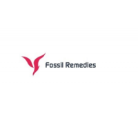 Fossil Remedies, Ahmedabad Fossil Remedies, Ahmedabad