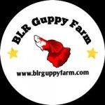 BLR Guppy Farm, Bangalore, प्रतीक चिन्ह