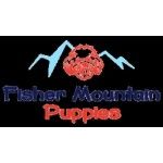 Fisher Mountain Puppies, Fayetteville, logo