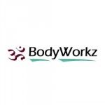 BodyWorkz, Mesa, logo