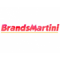 BrandsMartini - Digital Marketing Agency, West delhi