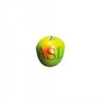 Apple Solutions Ltd, Birmingham, logo