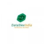 Data Slex India, New Delhi, प्रतीक चिन्ह