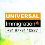 Universal Immigration Consultant Chandigarh, Chandigarh, logo
