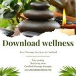 Download wellness, california, logo