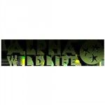 Alpha Wildlife, Nashville, TN, logo