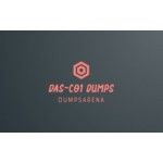 das-c01 dumps, New York, logo