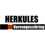 Herkules varevognssikring, Randers NV, Logo
