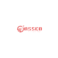 Asseo - Digital Marketig Agency, Kolkata